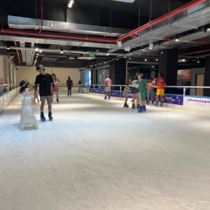Pista de hielo